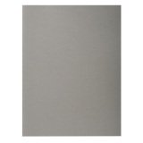 Chemise standard 170 Exacompta Forever® 24 x 32 cm gris - Paquet de 100
