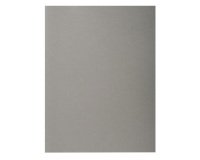 Chemise standard 170 Exacompta Forever® 24 x 32 cm gris - Paquet de 100