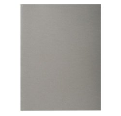 Paquete de 100 Subcarpetas Exacompta Forever 100% reciclada FOREVER 170 gris