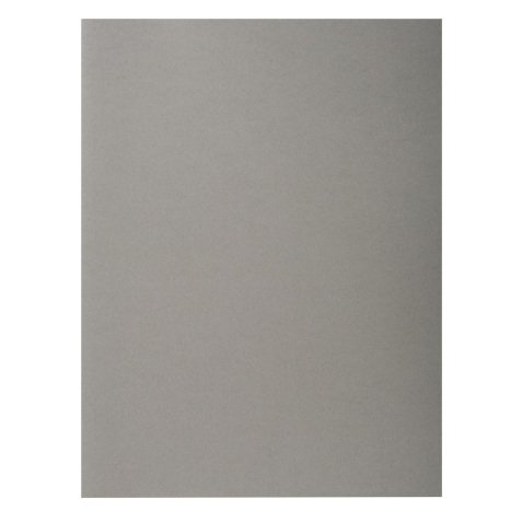 Chemise standard 170 Exacompta Forever® 24 x 32 cm gris - Paquet de 100