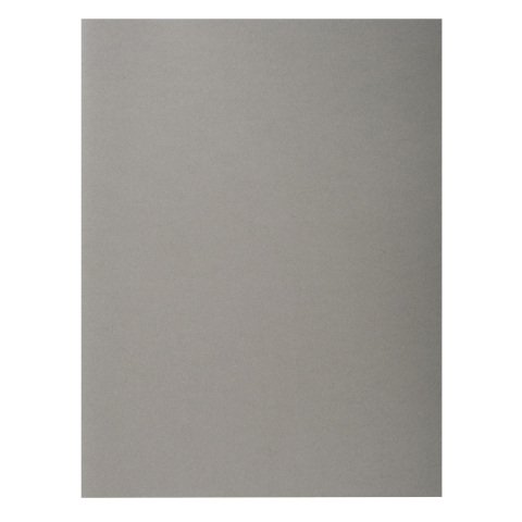 Paquete de 100 Subcarpetas Exacompta Forever 100% reciclada FOREVER 170 gris