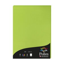 Etui de 50 feuilles Pollen 210x297mm 120g/m2 - Vert menthe