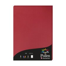 Etui de 50 feuilles Pollen 210x297mm 120g/m2 - Rouge groseille