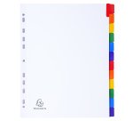 Intercalaire A4+ carte blanche Exacompta 12 onglets neutres multicolores - 1 jeu