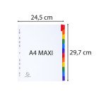 Intercalaire A4+ carte blanche Exacompta 12 onglets neutres multicolores - 1 jeu