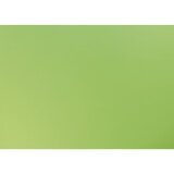 CARTA, Paquet de 10 feuilles 270g/m2 sous/film au format 50x65cm - Vert pomme