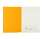 Registre échéancier piqûre 21 x 29,7 cm 80 pages Exacompta