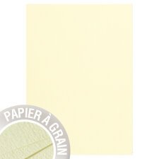 Etui de 50 feuilles Grain de Pollen 210x297mm 120g/m² - Eau de citron