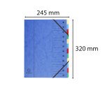 Trieur carte lustrée Harmonika 12 divisions couleurs assorties