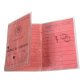 Porta documenti 3 tasche PVC liscio 20x100e - 85x124mm - Cristallo
