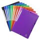 3 Flap Folders with Elastic Straps Opak Polypropylene A4.