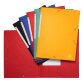 Folder 3 Flap Elastic Scotten 600g Ast