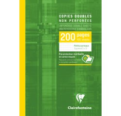 Duplicate copies 200 pages 5 x 5 format A4 21 x 29.7 cm Clairefontaine - non perforated