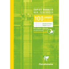 Copies doubles sous étui A4 100 pagesnon perforées grands carreaux