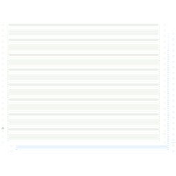 1000 listingbladen in zones verdeeld - 2 ex zelfkopiërend - 380x11 niet afscheurbare Caroll banden papier - Groen