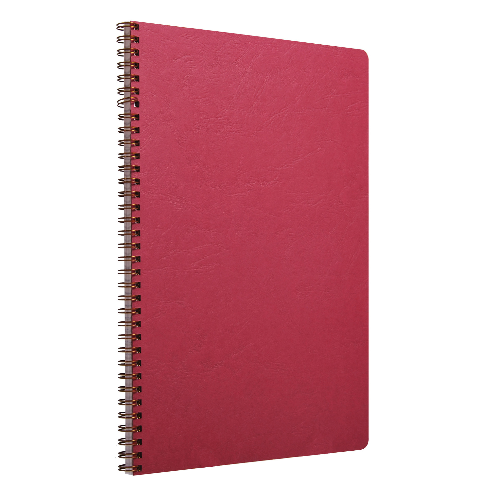 Cahier reliure intégrale Age Bag A4 100 pages petits carreaux sur