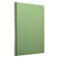 Cahier reliure intégrale Age Bag A4 100 pages petits carreaux - Vert