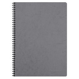 Cahier reliure intégrale Age Bag A4 100 pages petits carreaux - Gris