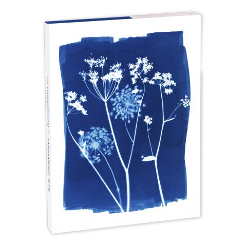 Cyanotype, Set de correspondance 12x16,5 cm contenant 8 cartes simples 11x15,5 cm assorties et 8 enveloppes Pollen C6 blanc naturel