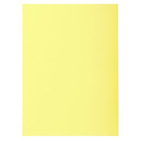 SUPER 60 - Pak van 250 inlegmappen - 22x31cm voor A4