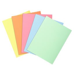 Pack of 100 folders SUPER 60 - 22x31cm