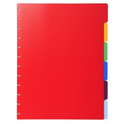 Dividers 6 Pt Removable Display Book - Assorted colours