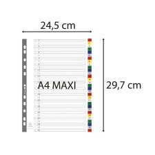 Intercalaires imprimés numériques PP couleurs 12/100e - 31 positions - A4+ - Assorties vives