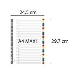 Tabbladen met bedrukte tabs in gekleurde PP - 31 tabs - 1 tot 31 - A4 maxi - Geassorteerde felle kleuren