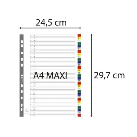 Intercalaires imprimés numériques PP couleurs 12/100e - 31 positions - A4+ - Assorties vives