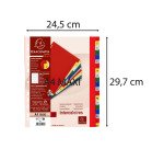 Intercalaire A4+ polypropylène coloré Exacompta 20 onglets alphabétiques multicolores - 1 jeu