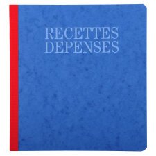 Piqûre 21x19cm recettes-dépenses 80 pages - Couleurs assorties