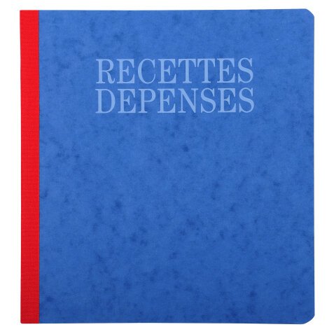 PIQ. 21/19 RECETTES-DEPENSES 80 PAGES - Assorted colours