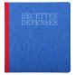 PIQ. 21/19 RECETTES-DEPENSES 80 PAGES - Assorted colours