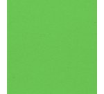 Papier cadeau 'kraft', vert mousse