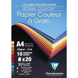 Etival Color bloc collé 20F A4 160g - Assortiment vif