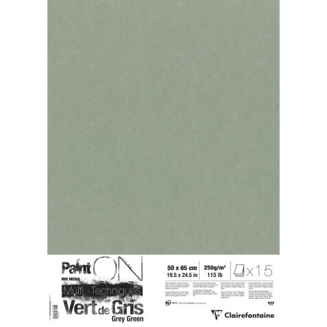 PaintON Vert de Gris paquet 15F 50x65cm 250g - Vert de gris