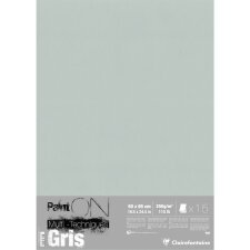 Paint'ON Gris paquet 15F 50x65cm 250g - Gris