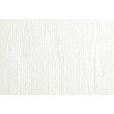 Papier Huile rouleau 1,1x10m 240g