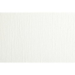 Papier Huile rouleau 1,1x10m 240g