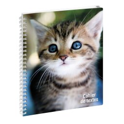 Cahier de textes Animaux Chat yeux bleus 17 x 22 cm - Visuels assortis