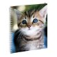 Cahier de textes Animaux Chat yeux bleus 17 x 22 cm - Visuels assortis