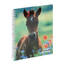 Cahier de textes Animaux poulain 17 x 22 cm - Visuels assortis