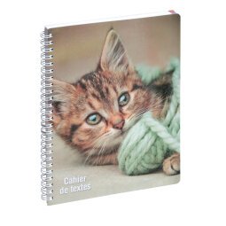 Cahier de textes Animaux Chaton 17 x 22 cm - Visuels assortis