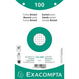 Pk100 Exa Rec Card 12.5x20 Sq Punch Wht - White