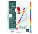Intercalaire A4 carte bristol blanc Exacompta 12 onglets mensuels multicolores - 1 jeu