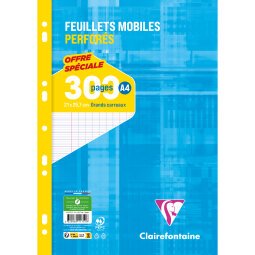 Feuillets mobiles sous film A4 300 pages perforées grands carreaux - Blanc