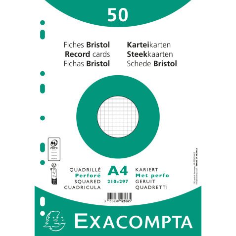 Pk50 Exa Rec Cards 21x29.7cm SqPunch Wht - White