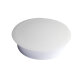 Exacompta Large Magnets (Box of 5) - White