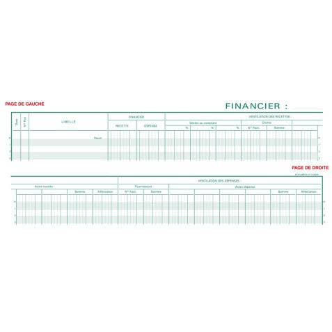 Piqûre Registre financier - texte FR - 80 pages