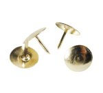 Punaises laitonnées - Boîte de 750